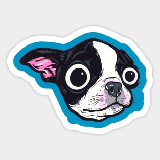 Boston Terrier Pup Sticker